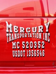 Custom Text Vinyl Lettering Sticker Decal Personalized -ANY TEXT – ANY NAME-