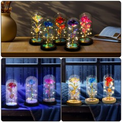 Eternal Forever Galaxy Rose Flower In Glass Dome LED Light Romantic Gift for Her