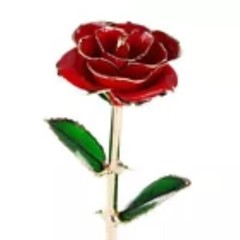 Great Easter Gift: Gold Plated Real Rose Birthday Gift with Box