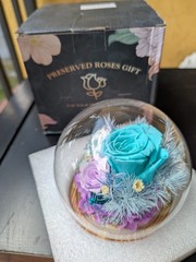 Long-Lasting Real Rose Flower, Unique Preserved Floral Gift for All Occasions