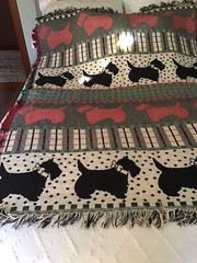 Crown Crafts 100% Cotton Throw Plaid W/ Scottie Dogs