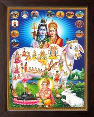 Lord Shiva Parvati with Kamadhenu Cow and Various God Wall Decor Painting Frame
