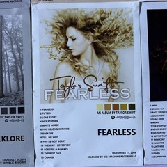 Set of 11 Taylor Swift Album Cover Canvas Prints Posters Decor Wall Art
