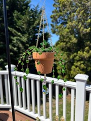 Handmade Beaded Forever Plant Suncatcher Hanging Decoration