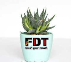 FDT Shush Your Mouth Decal Sticker F*** Donald Trump Printed Die Cut Anti MAGA
