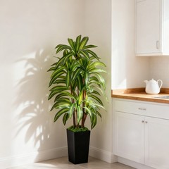 Artificial Dracaena Tree with Lights, 5Ft Fake Plants Black Tall Planter Indoor