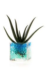 1 Pound Water Beads Turquoise Teal Vase Bowl Filler Gel 1lb Makes 12 Gallons