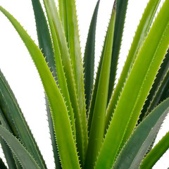 3 Ft./36.6 In. Artificial Spiked Agave Plant Faux Agave Plants Modern Artificial