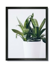 8×12 EcoLine Black Picture Frame with Clear Glass & Backing