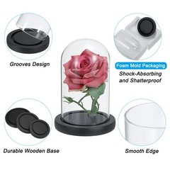 6.1″x5.9″ Clear Cloche Glass Dome Glass Bell Jar Display with Wooden Base