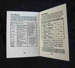 PALMISTRY HAND KIT Includes Cold-Cast Resin Hand & Guide Booklet Palm Reading