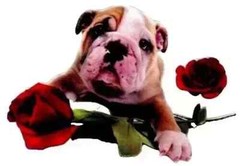 dog bulldog puppy wall safe sticker rose valentine 6.5 inch new