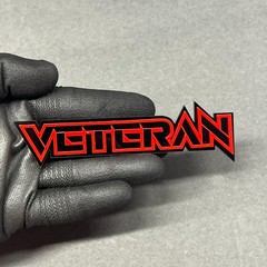 Custom Lazer Cut Car Acrylic Emblem MULTI COLOR Badge Customized Text Names!
