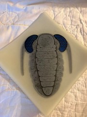 Handmade 8″ glass dish with trilobite on front signed by Jane Hartman on back