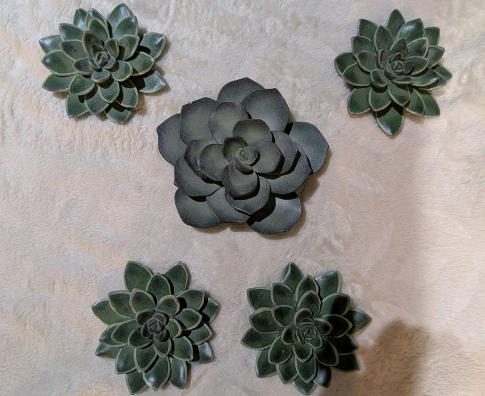 Green succulent wall art deco. Set of 5 Botanical Arrangement.
