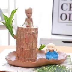 A Set of Green Plant Brazilian Wood Water Raise Lucky Wood Potted Tree Indoor US