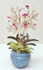 US Stock 4″H Air-Dry-Clay Handmade Miniature Rhyncho Orchid Arrangement in Pot.