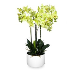 29″ Artificial Flowers Potted Faux Realistic Green Orchid in Ceramic Pot Decor