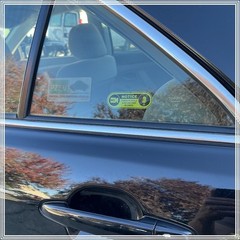 Camera in Car Recording Video 6-Pack INSIDE MOUNT Decals Black Yellow 3″ x 1″