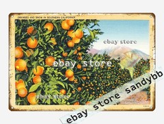 1930-45 Oranges Snow Southern California tin sign stores collectible