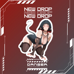 Jane Doe | Zenless Zone Zero | Anime Girl Waifu Sticker Decal