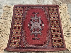 Vintage 12”x18” Woven Fringed High Pile Tiny Rug Wall Hanging Ethnic Boho Decor