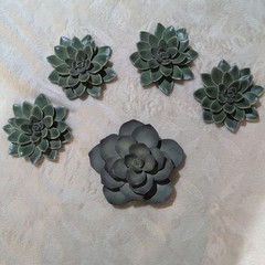 Green succulent wall art deco. Set of 5 Botanical Arrangement.