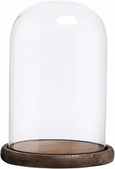 Clear Glass Cloche Bell Jar Display Case with Rustic Wood Base, 10 X 7 Inches