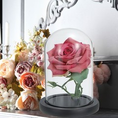 6.1″x5.9″ Clear Cloche Glass Dome Glass Bell Jar Display with Wooden Base