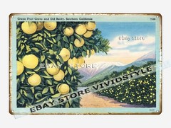 tin sign 1930s-40s Grape Fruit Grove Old Baldy Southern California