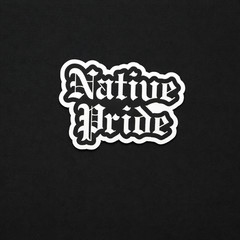 Indigenous Native American Stickers MMIW Indian Vinyl Decals Wolf Chief Tribal