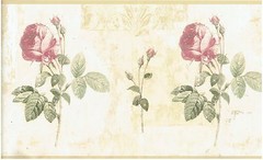 ROSES SPROUTING PICKED OUT ROSE TAN TRIM Wallpaper bordeR Wall decor