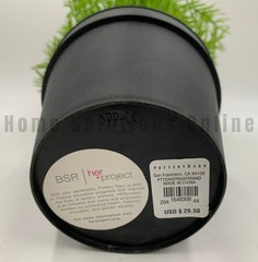 Pottery Barn Faux Potted Asparagus Fern Houseplant Medium 13″ #S8007