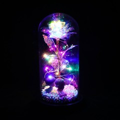 Flower In Glass Dome Eternal Forever Galaxy Rose LED Light Mother’s Day Gifts