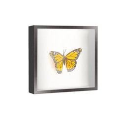 7×7 Shadow Box Frame Black | 1 Inches Deep Real Wood Farmhouse Shadowbox Display