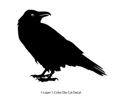 Wildlife – Birds – Staring Raven/Crow/Corvid – 6Yrs Outdoor Vinyl DieCut Sticker