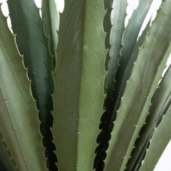 6’ Giant Grand Cactus Artificial Agave Plant UV (Indoor/Outdoor). Retail $499