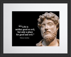 Marcus Aurelius Life is neither nothing Poster Print Picture or Framed Wall Art