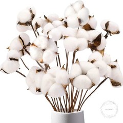 Cotton Stems 8 Packs with 15 Bolls, Natural Dried Flowers Cotton Sprigs for Vase