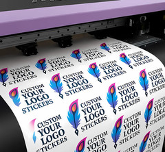 100 Custom Vinyl Stickers – Print & Cut Any Design & Shape