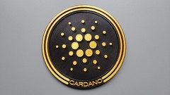 Cardano ADA Coin Wall Art | Crypto Currency Lovers Wall Art Gift