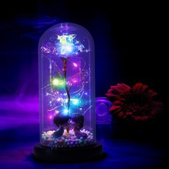 Flower In Glass Dome Eternal Forever Galaxy Rose LED Light Mother’s Day Gifts