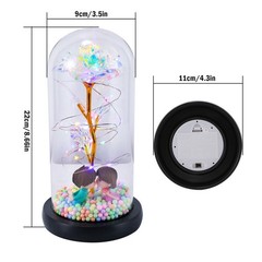 Flower In Glass Dome Eternal Forever Galaxy Rose LED Light Mother’s Day Gifts