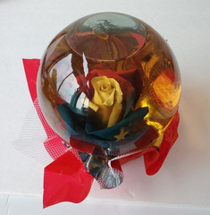 Forever Multicolor Rose in Glass Ball Water Dome Globe Large 6.5″