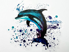 Colorful Dolphin 3 Inch Transparent Sticker Ocean Fishing Nature Decal