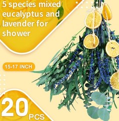 5 Mix Dried Eucalyptus & Lavender Shower Bundle 15–17″ Natural Decor