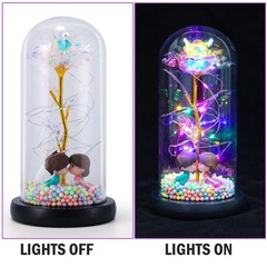 Flower In Glass Dome Eternal Forever Galaxy Rose LED Light Mother’s Day Gifts