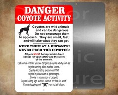 DANGER Coyote Activity Ranch Woods 8″ x 12″ metal sign Made in USA