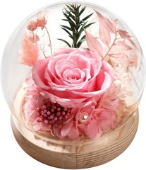 Long-Lasting Real Rose Flower, Unique Preserved Floral Gift for All Occasions