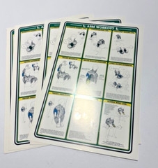 1984 Vintage Bruce Algra Weight Training (set of 7 posters)- Fitnus Chart Series